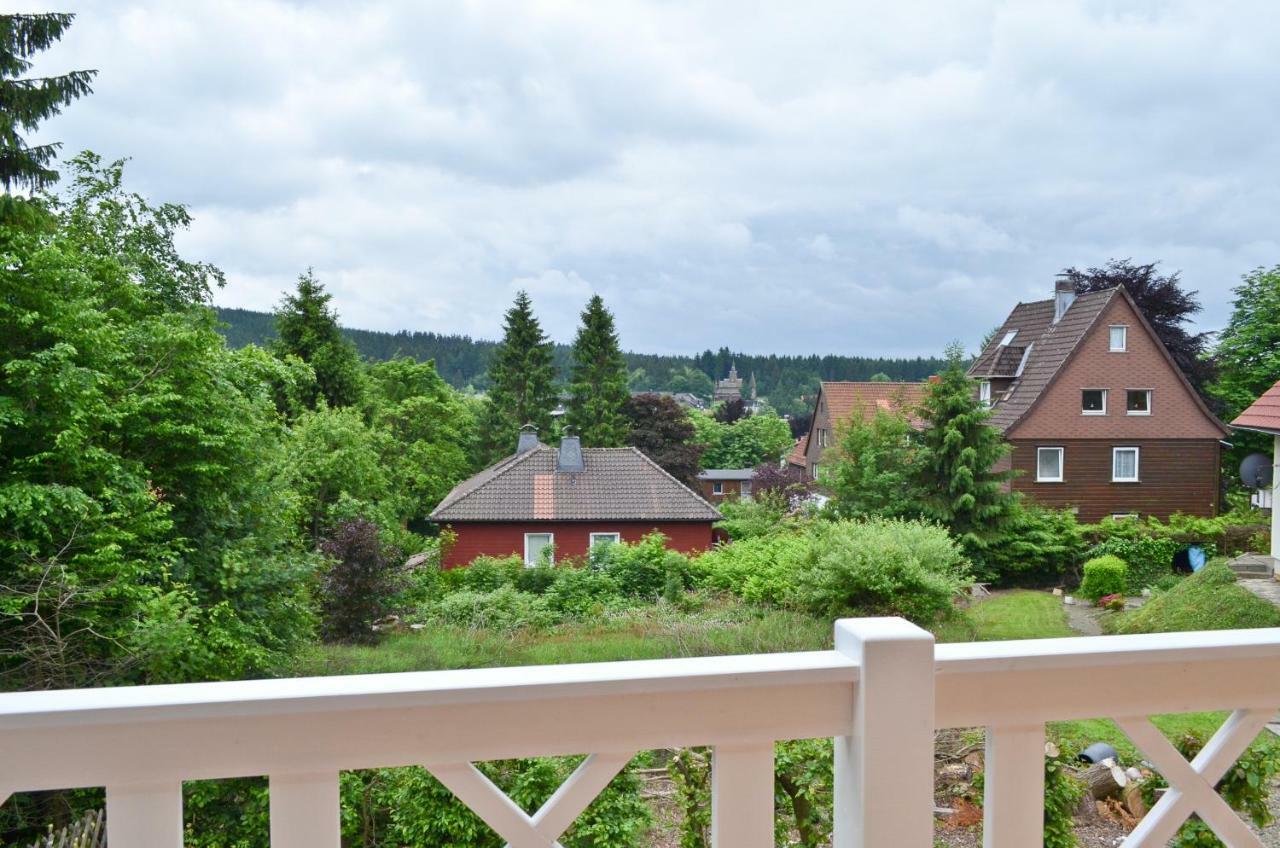 Ferienblockhaus Auerhahn & Luchs Villa Goslar Eksteriør bilde